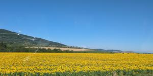 Introductory image to a photo gallery by CJ Walters