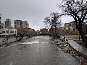 Introductory image to a photo gallery by Danne Polk